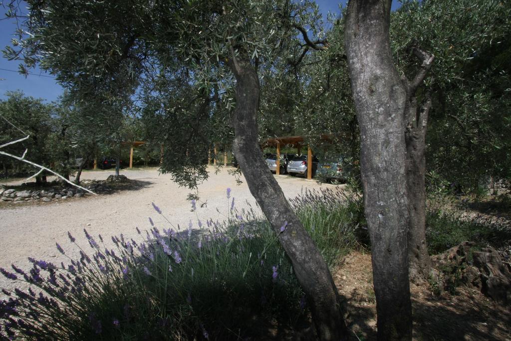 Le Madaleno Hotell Fontvieille Eksteriør bilde